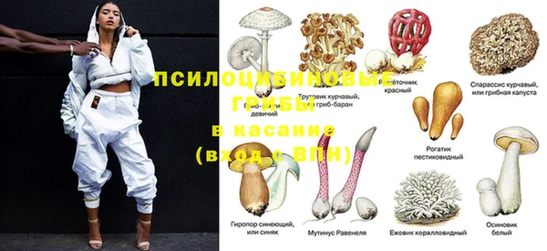 первитин Бородино